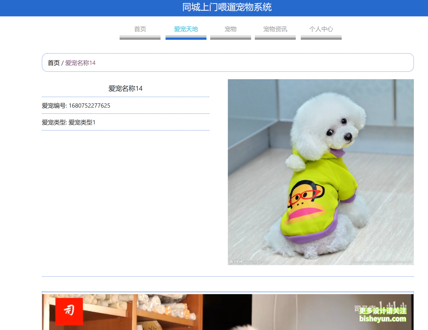 QQ截图20240924091437