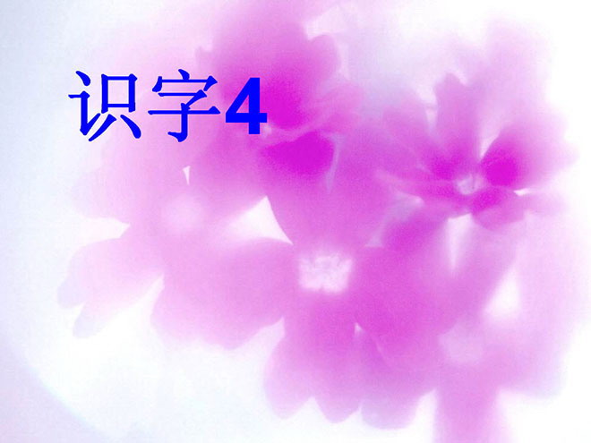 识字4PPT课件下载