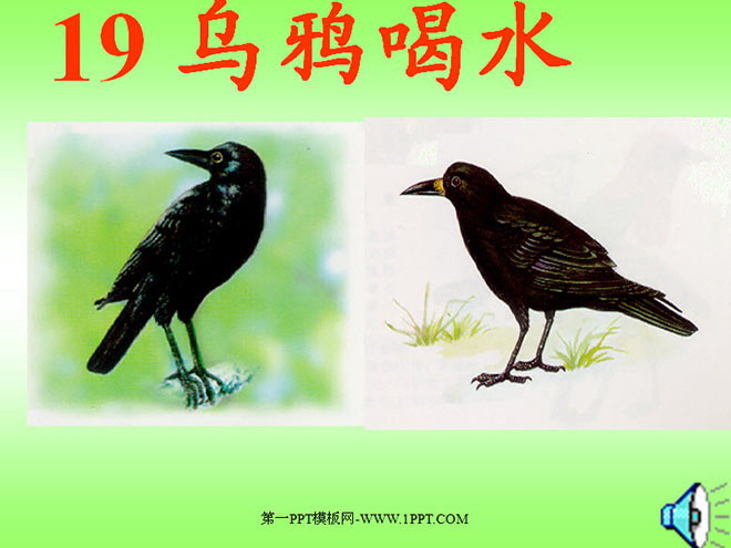 乌鸦喝水PPT课件下载