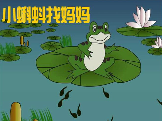 小蝌蚪找妈妈PPT课件下载