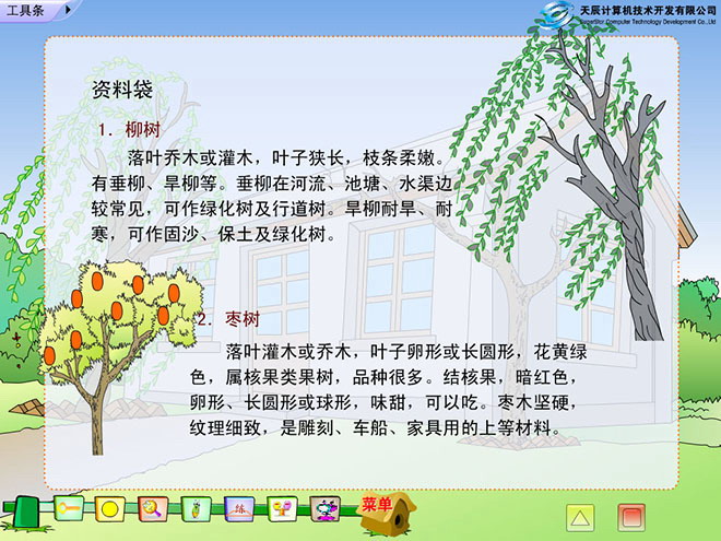 小柳树和小枣树Flash动画课件