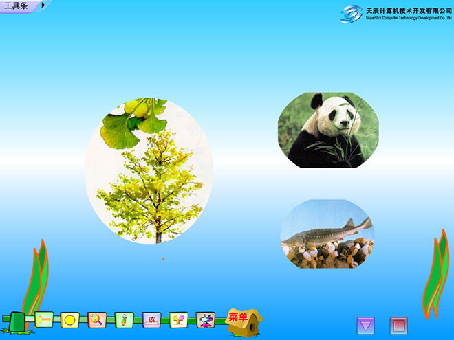 活化石Flash动画课件