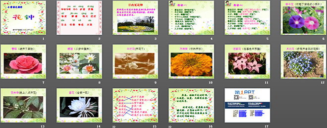 《花钟》PPT教学课件下载