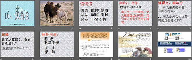 《找骆驼》PPT教学课件下载2