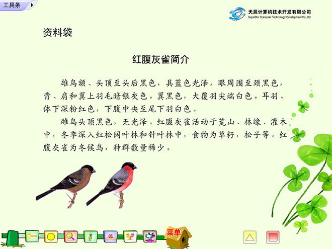 《灰雀》Flash动画课件下载
