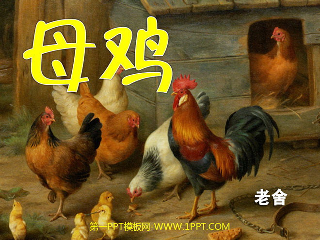 《母鸡》PPT课件下载
