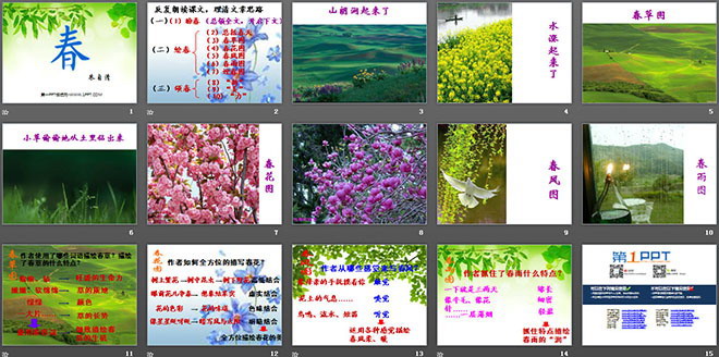 《春》PPT课件2