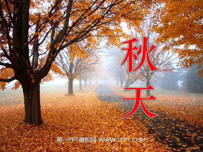 《秋天》PPT课件2