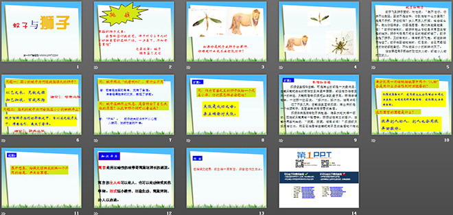 《蚊子与狮子》PPT课件