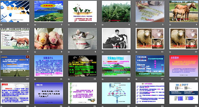 《奇妙的克隆》PPT课件2