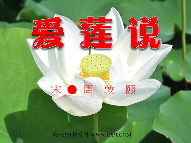 《爱莲说》PPT课件2