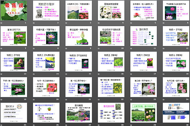 《爱莲说》PPT课件2