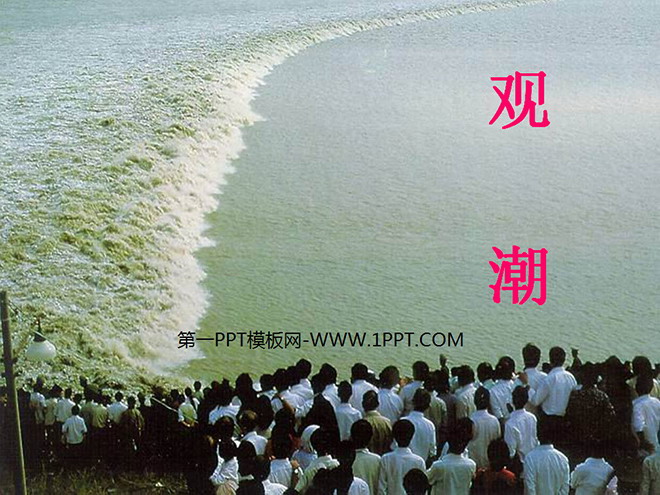 《观潮》PPT课件2