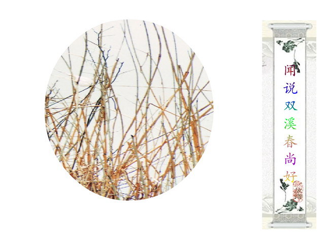 词五首《武陵春》PPT课件