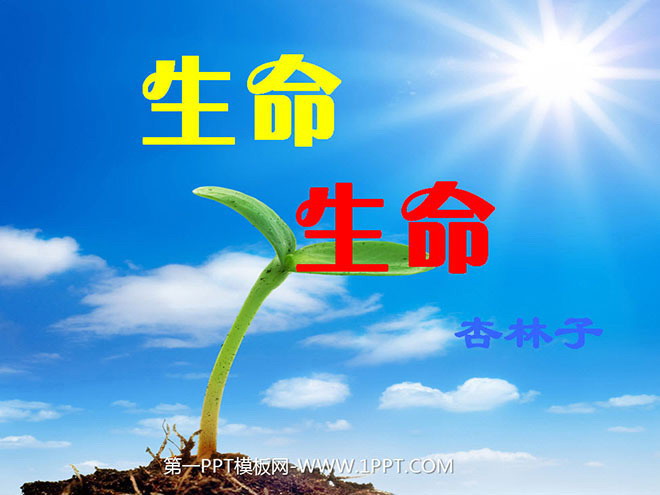 《生命生命》PPT课件2