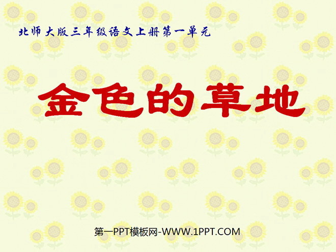 《金色的草地》PPT课件2