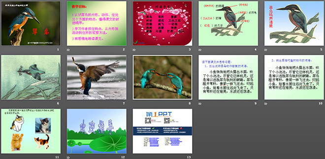 《翠鸟》PPT课件2