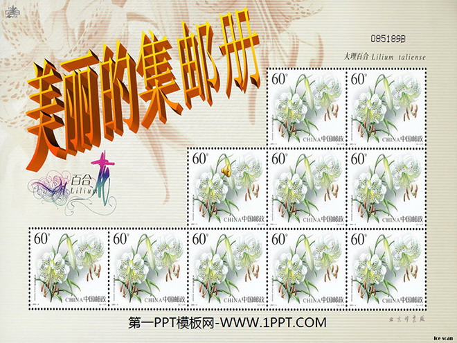 《美丽的集邮册》PPT课件2