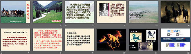 《巩乃斯的马》PPT课件