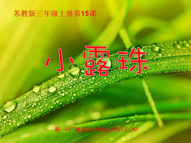 《小露珠》PPT课件2