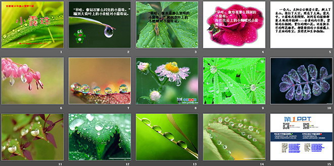 《小露珠》PPT课件2