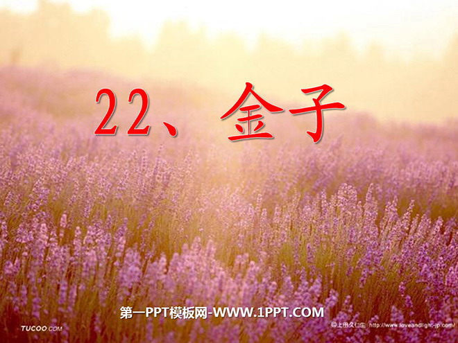 《金子》PPT课件2