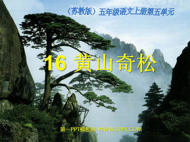 《黄山奇松》PPT课件2