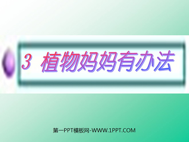 《植物妈妈有办法》PPT教学课件下载5