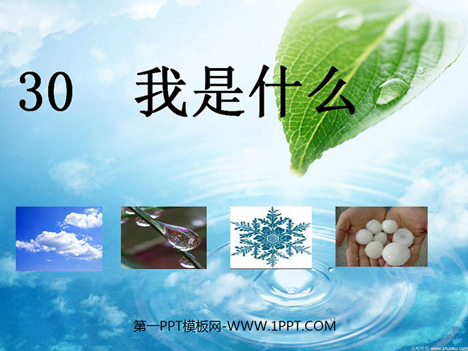 《我是什么》PPT教学课件下载3