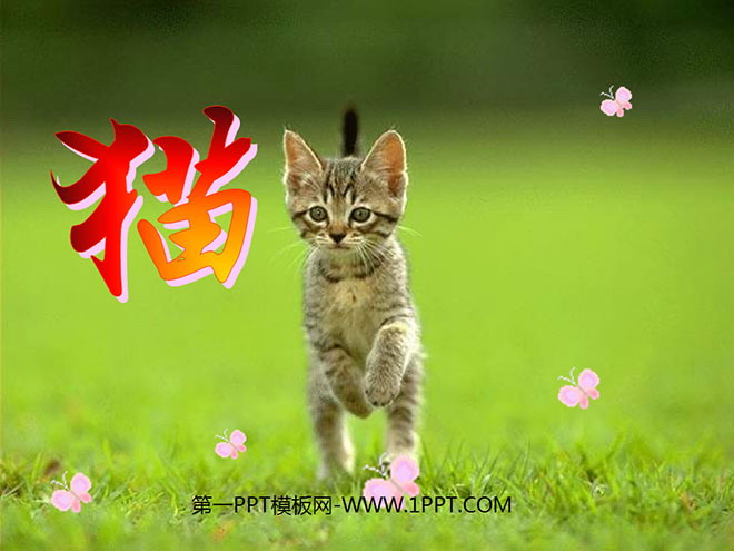 《猫》PPT课件下载4