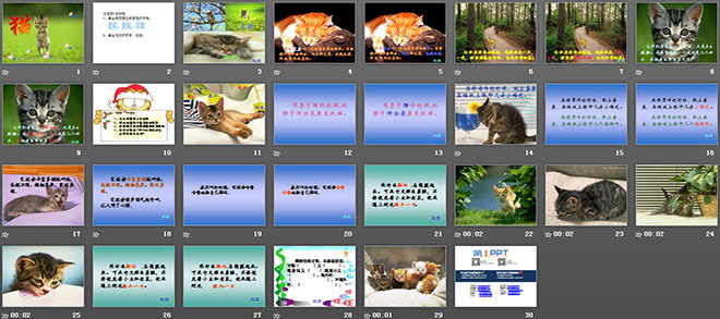 《猫》PPT课件下载4