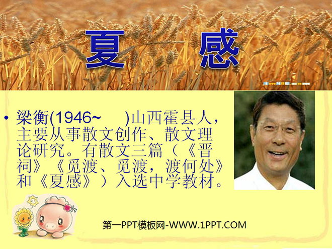 《夏感》PPT课件4