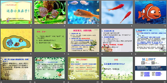 《这条小鱼在乎》PPT课件2