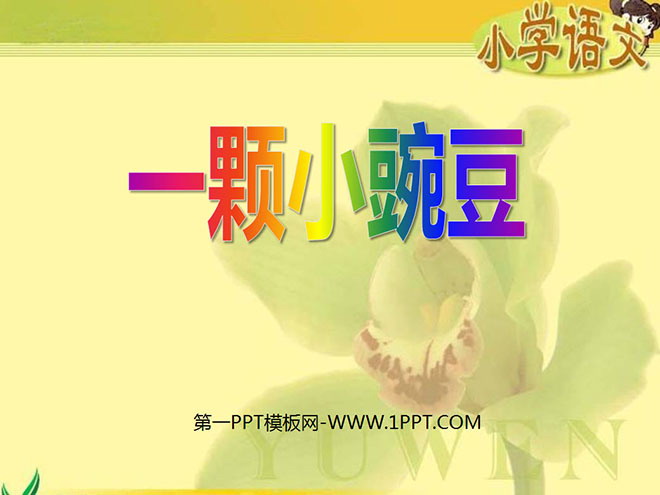 《一颗小豌豆》PPT课件2