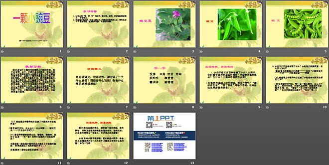 《一颗小豌豆》PPT课件2