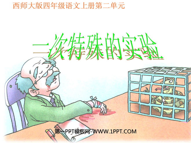 《一次特殊的实验》PPT课件2