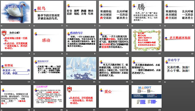 《天鹅的故事》PPT课件3
