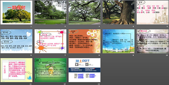 《一棵橡树》PPT课件