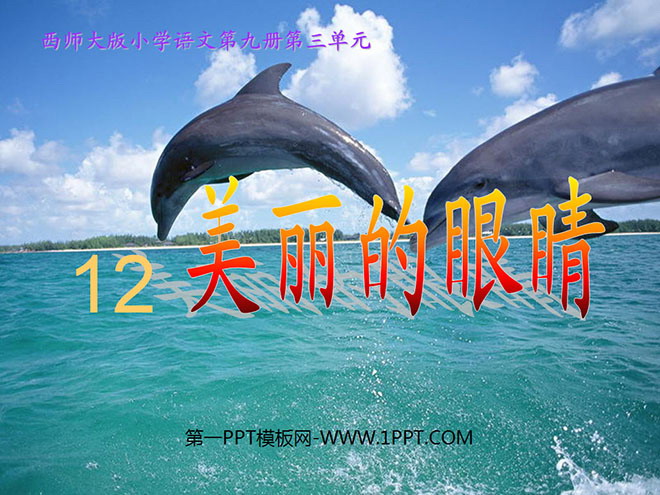 《美丽的眼睛》PPT课件3