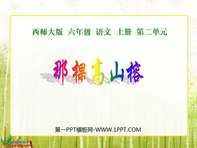 《那棵高山榕》PPT课件2