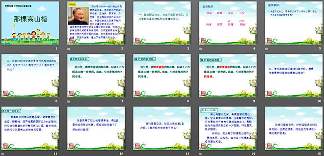 《那棵高山榕》PPT课件3
