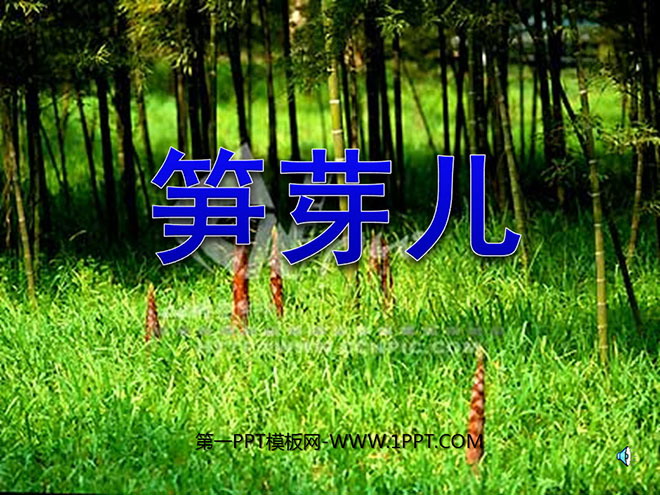 《笋芽儿》PPT课件3