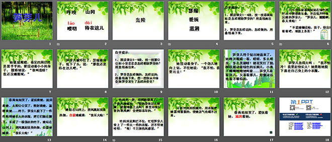 《笋芽儿》PPT课件3