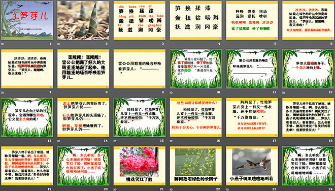 《笋芽儿》PPT课件4