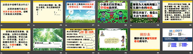 《笋芽儿》PPT课件4