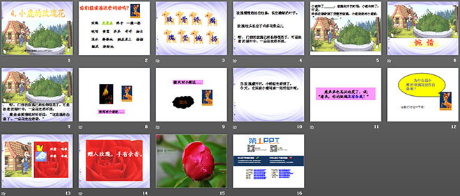 《小鹿的玫瑰花》PPT课件2
