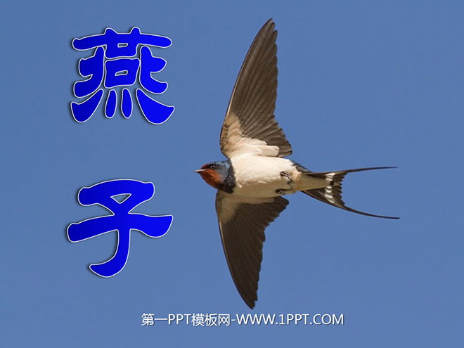 《燕子》PPT课件