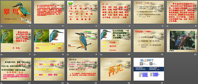 《翠鸟》PPT课件下载6