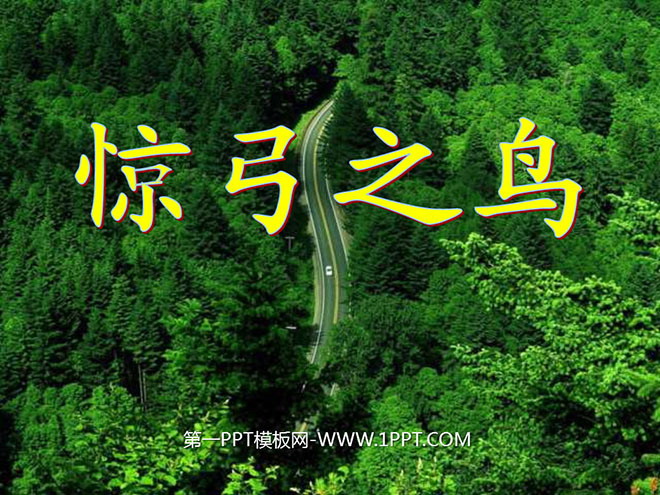 《惊弓之鸟》PPT课件4