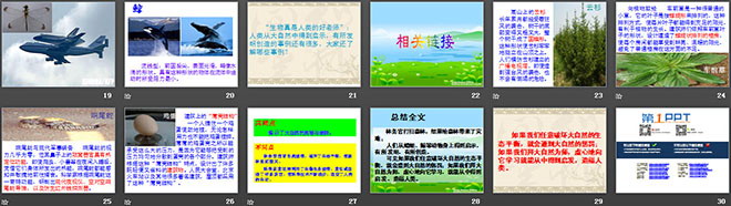 《大自然的启示》PPT课件4